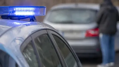 Parkowanie na trawniku i ranny gołąb. Straż Miejska interweniowała w Koninie