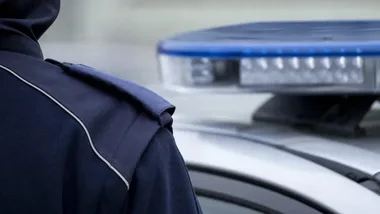 Martwy kot, alkohol i parkingowe interwencje. Straż Miejska podsumowała weekend