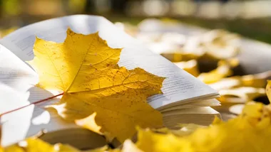 Jesień weszła do biblioteki - pierwszoklasiści odkrywali jej sekrety