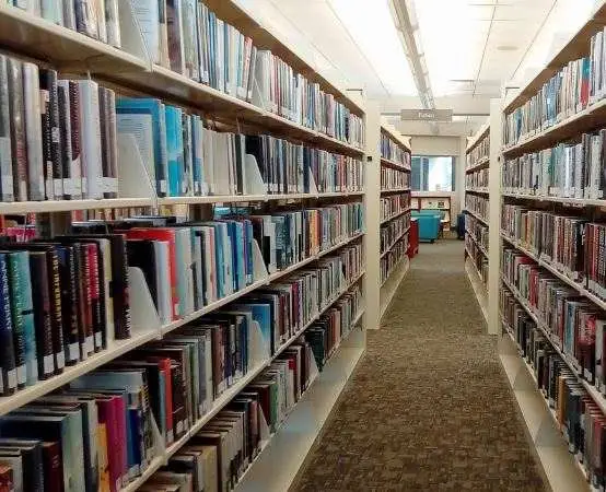 Książki, linie i emocje — neuroGrafika rozbłysła w bibliotece