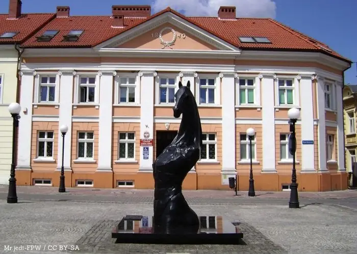 Uroczysty koncert chopinowski w Pałacu Bronikowskich w Żychlinie