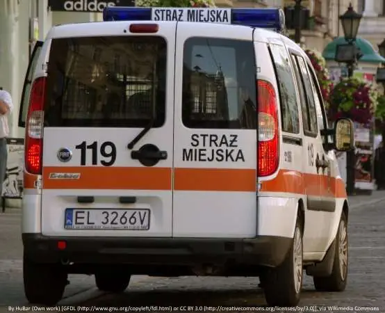 Nietrzeźwi na ławce i auta pod zakazem. Tak działała Straż Miejska w Koninie
