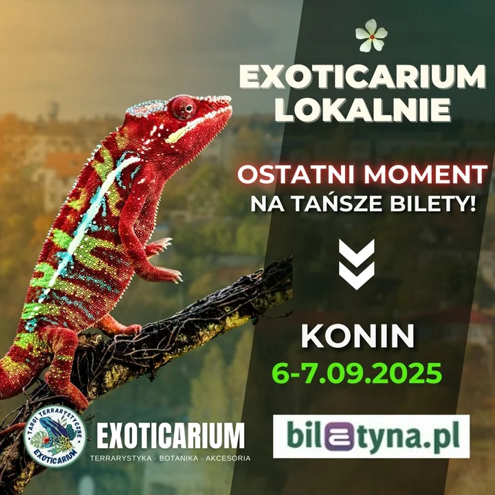 Targi Terrarystyczne Exoticarium w Koninie