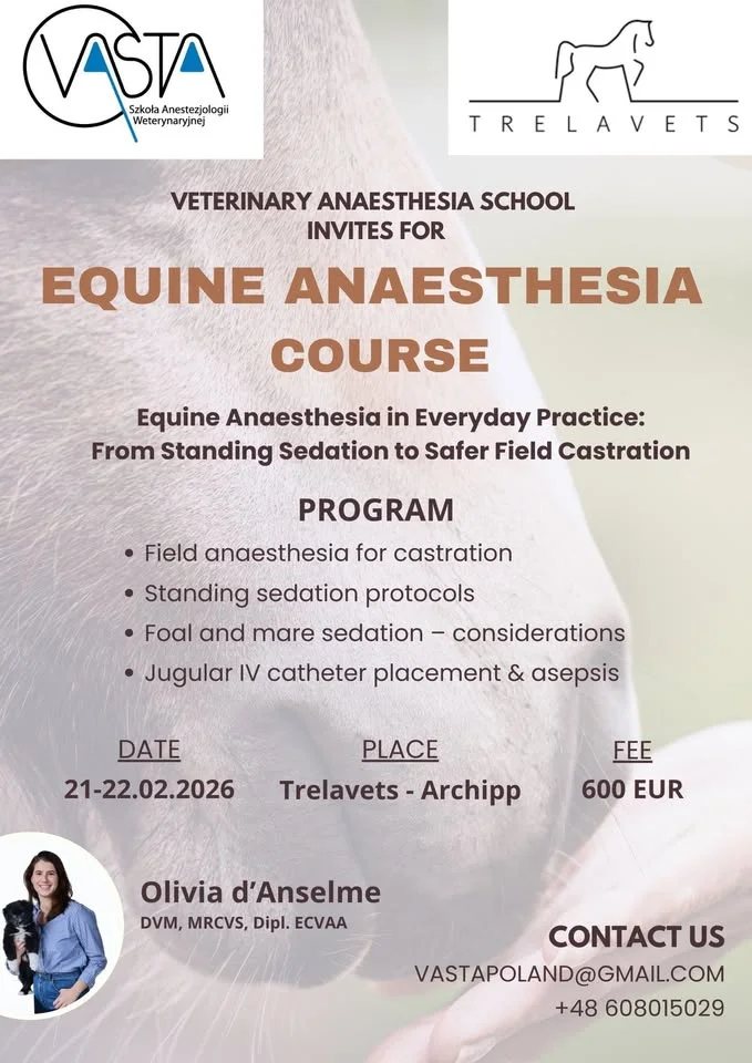 Grafika promocyjna wydarzenia VASTA: Anestezjologia koni — sedacja stojąca i bezpieczna kastracja w terenie