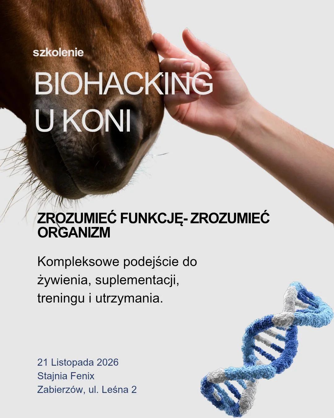 Grafika promocyjna wydarzenia Biohaking u koni – zdrowie i regeneracja