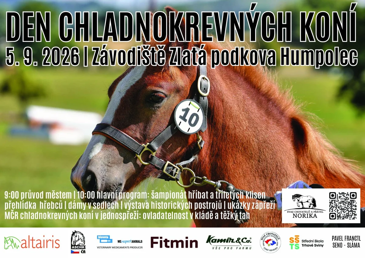 Grafika promocyjna wydarzenia Den chladnokrevných koní na Zlaté podkově: program i vstupné