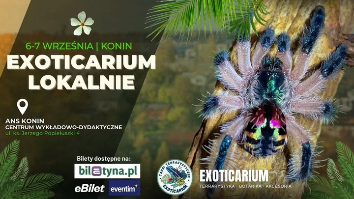 Obrazek przedstawia grafikę promocyjną wydarzenia Targi terrarystyczne w Koninie — 6–7 września 2025