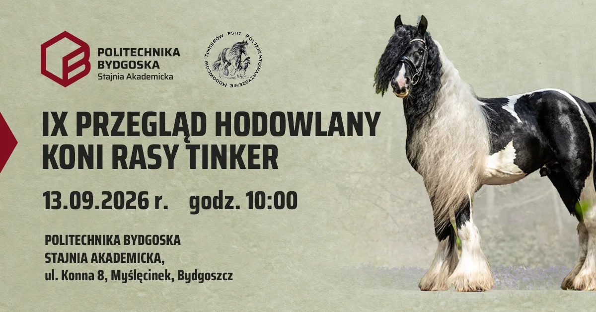 Grafika promocyjna wydarzenia IX Przegląd Hodowlany Koni Rasy Tinker w Bydgoszczy