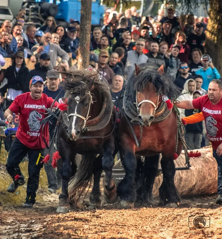 Grafika promocyjna wydarzenia Kamienska Podkova 18. ročník — międzynarodowe zawody ciężkich koni