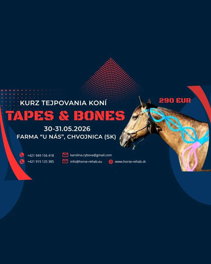 Grafika promocyjna wydarzenia TAPES & BONES — dwudniowy kurs tejpowania koni