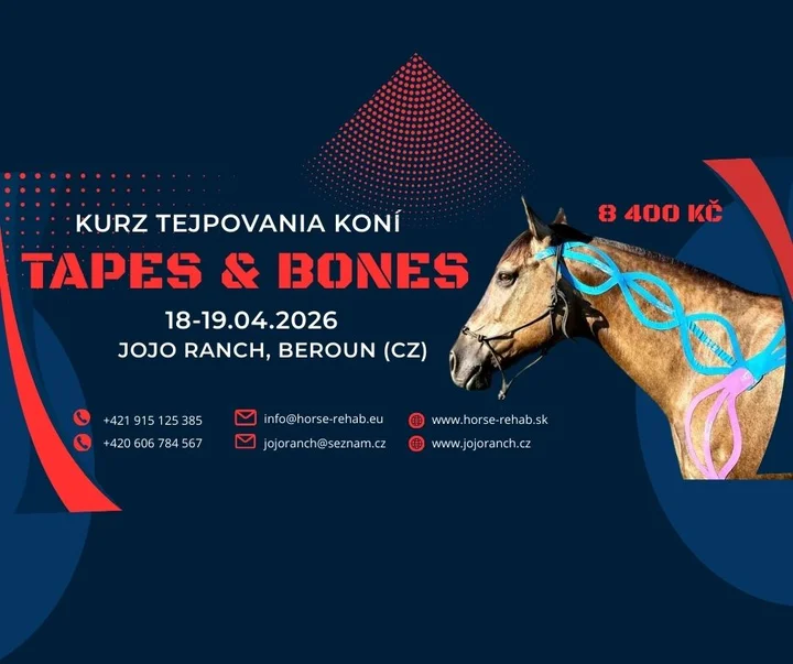 Grafika promocyjna wydarzenia TAPES & BONES — dwudniowy kurs tejpowania koni w Beroun