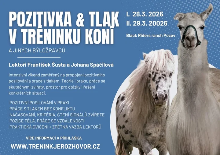 Grafika promocyjna wydarzenia POZITIVKA i tlak w tréningu koní a jiných býložravců — warsztat praktyczny