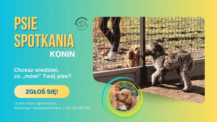 Obrazek przedstawia grafikę promocyjną wydarzenia Spotkanie socjalizacyjne dla psów w okolicach Konina