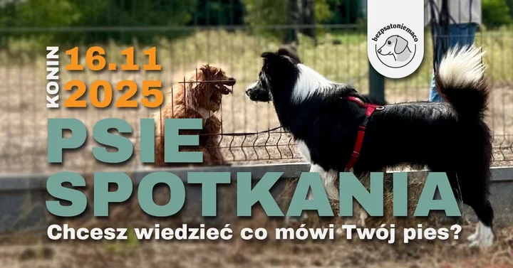 Grafika promocyjna wydarzenia PSIE SPOTKANIA w Koninie — kontrolowane spotkania socjalizacyjne dla psów