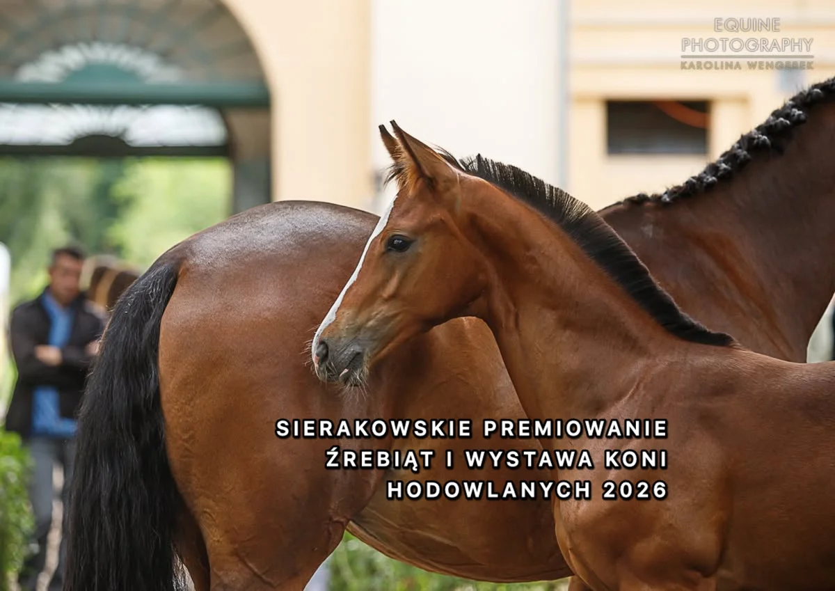Grafika promocyjna wydarzenia Sierakowskie Premiowanie Źrebiąt i Wystawa Koni Hodowlanych – data i program