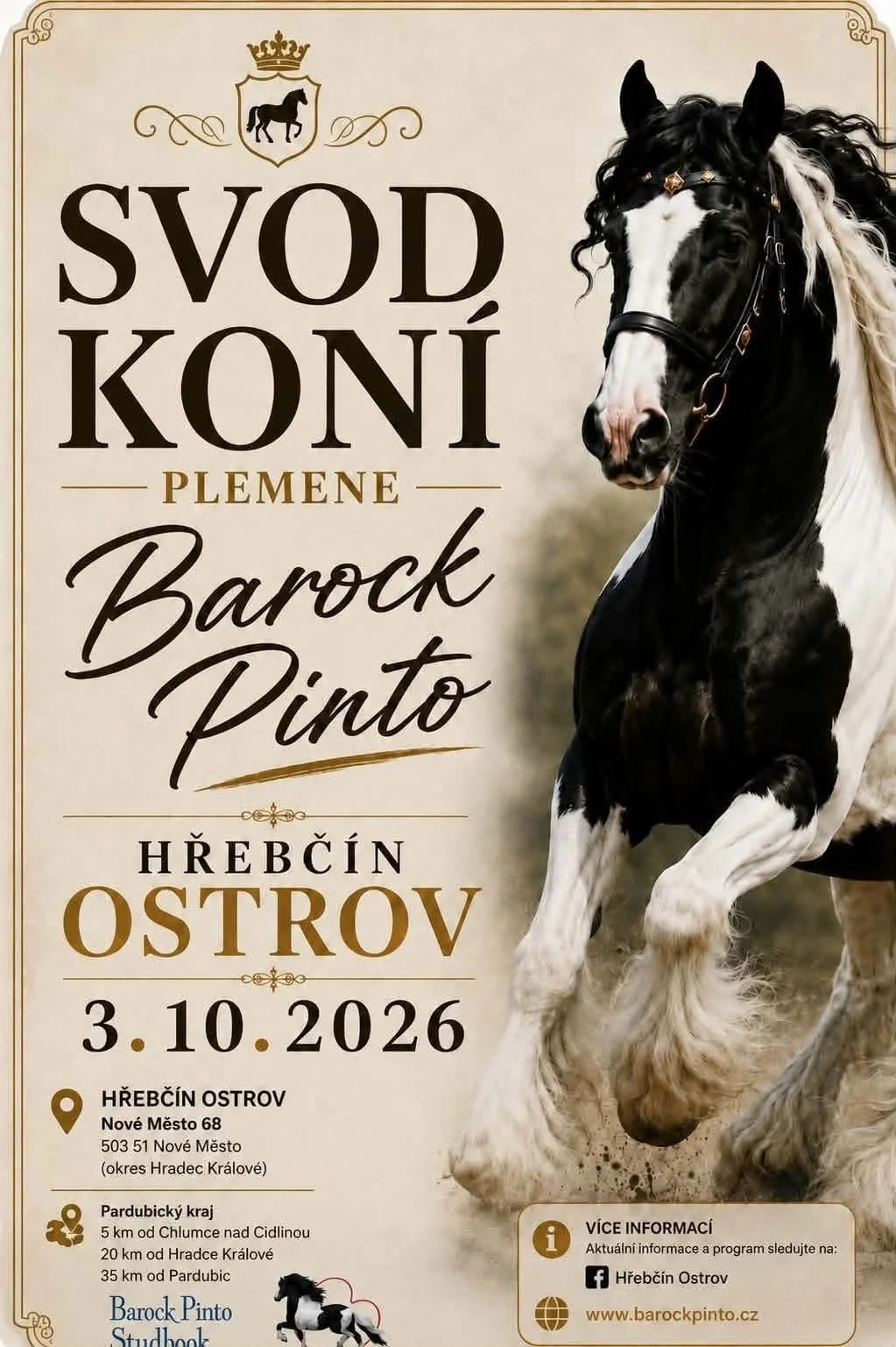 Grafika promocyjna wydarzenia Svod koní plemene Barock Pinto – Ostrov 2026