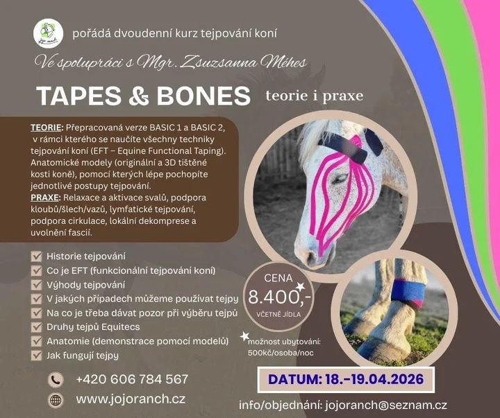 Grafika promocyjna wydarzenia Tejpování koní — teoria i praktyka (kurs TEJPOVÁNÍ BASIC 1 i BASIC 2)