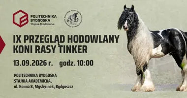 IX Przegląd Hodowlany Koni Rasy Tinker w Bydgoszczy
