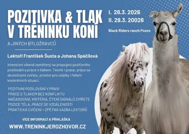 Grafika promocyjna wydarzenia POZITIVKA i tlak w tréningu koní a jiných býložravců — warsztat praktyczny