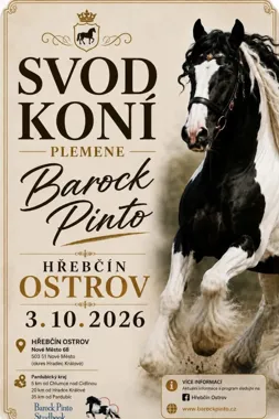 Svod koní plemene Barock Pinto – Ostrov 2026