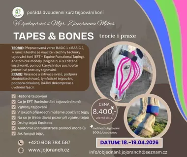 Grafika promocyjna wydarzenia Tejpování koní — teoria i praktyka (kurs TEJPOVÁNÍ BASIC 1 i BASIC 2)
