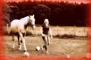 Grafika promocyjna wydarzenia freemindhorse – coaching z końmi