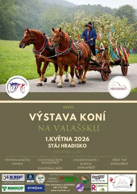 Grafika promocyjna wydarzenia XXVIII. Výstava koní na Valašsku – końska tradycja w Rožnovie pod Radhoštěm