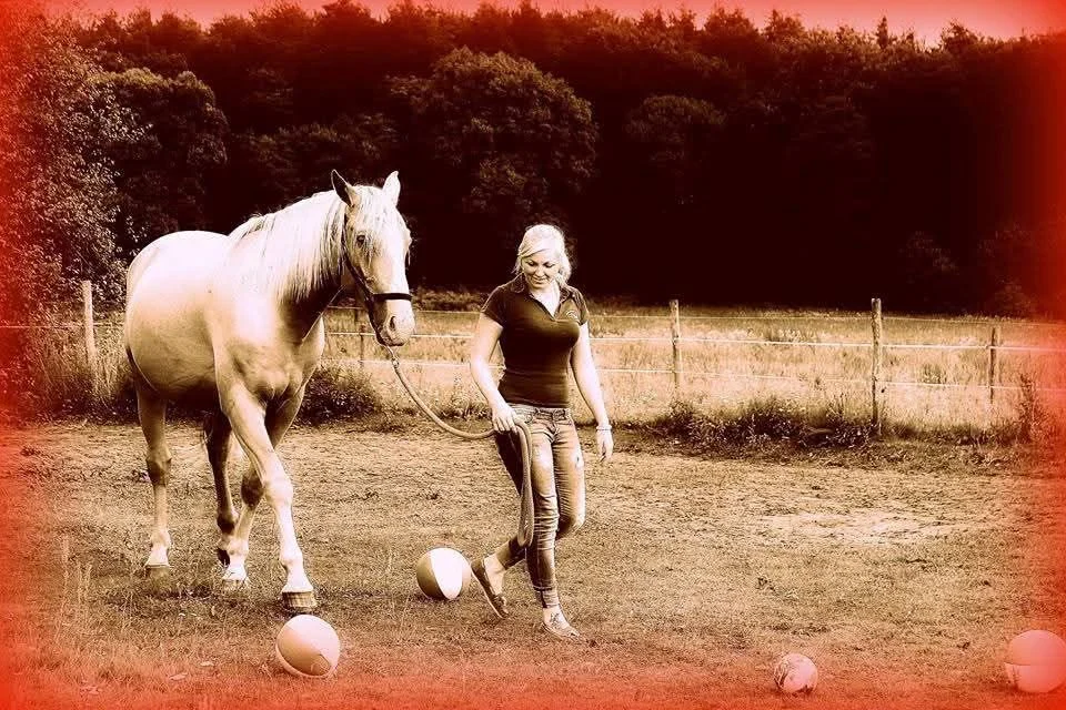 Grafika promocyjna wydarzenia freemindhorse – coaching z końmi