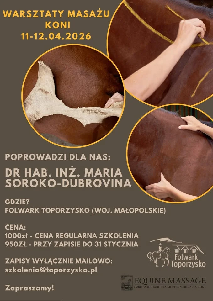 Grafika promocyjna wydarzenia Weekendowe warsztaty masażu koni w Folwarku Toporzysko