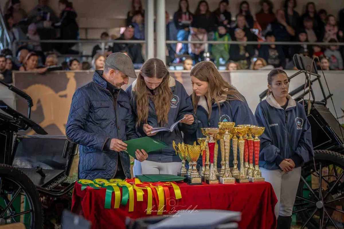 Grafika promocyjna wydarzenia Wystawa / Pokaz kuców i małych koni Bolesławowo 2026