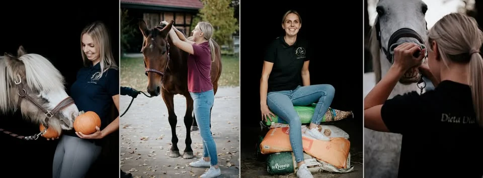 Grafika promocyjna wydarzenia Żywienie koni bez mitów – szkolenie praktyczne