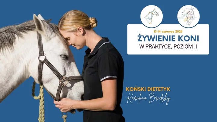 Grafika promocyjna wydarzenia Żywienie koni w praktyce poziom II (Pomorze) — szkolenie praktyczno-analityczne