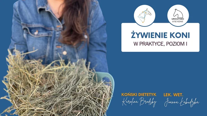 Grafika promocyjna wydarzenia Żywienie koni w praktyce z Koński Dietetyk — szkolenie Mazowsze