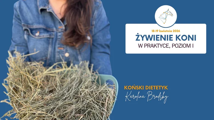 Grafika promocyjna wydarzenia Żywienie koni w praktyce z Koński Dietetyk — szkolenie praktyczne w Mrzeżynie