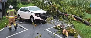 Drzewo przewróciło się na jadący samochód. Strażacy mieli 47 interwencji