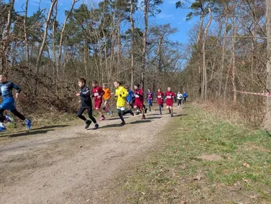 Leśna trasa wyłoniła szkolnych mistrzów Konina w biegach przełajowych