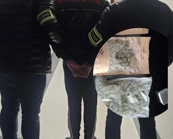 Zatrzymany w trakcie kontroli - 30-latek z Konina miał ponad 230 g marihuany