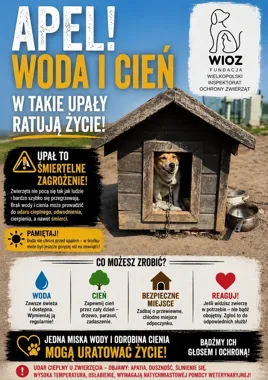 W upały zwierzęta walczą o każdy łyk wody. Fundacja apeluje o reakcję
